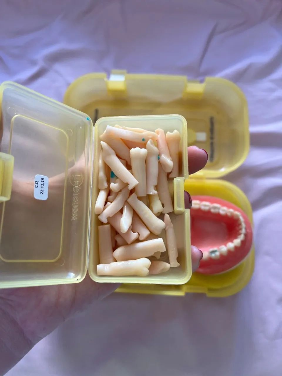Manequim de dentística  - Foto 4