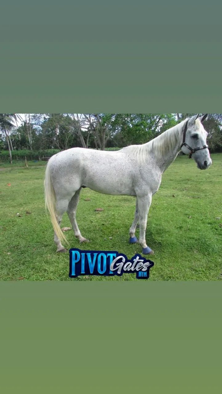 ? OPORTUNIDADE ? - Foto 2