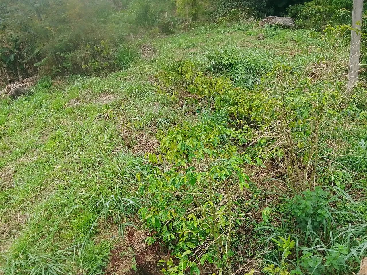 Vende-se lote de terra 