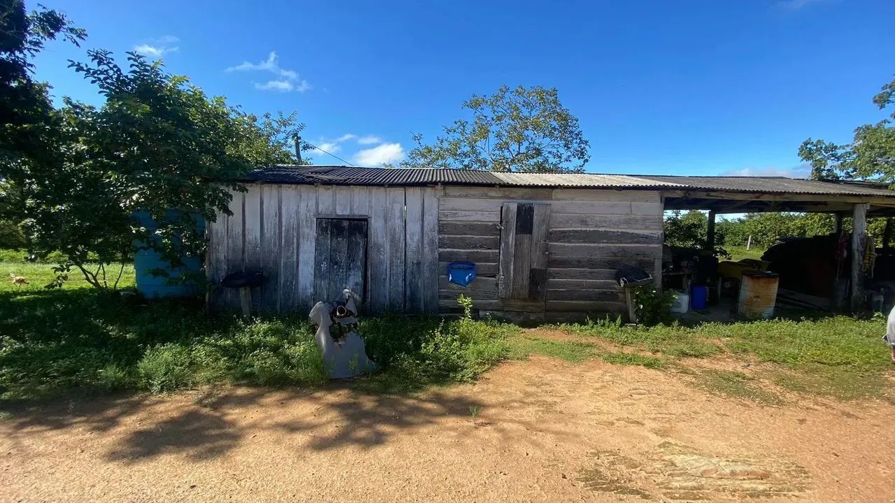 Sitio Para Confinamento - Haras - Foto 4