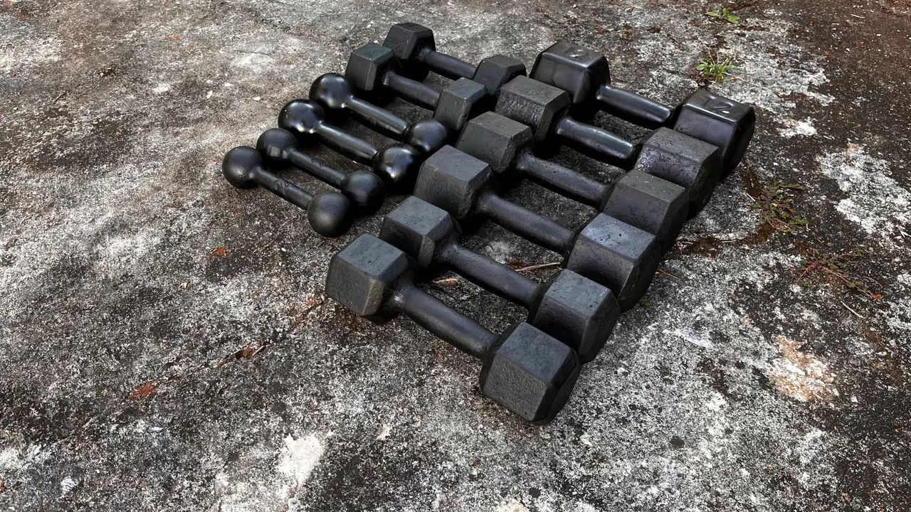 Conjunto de halteres de ferro fundido 