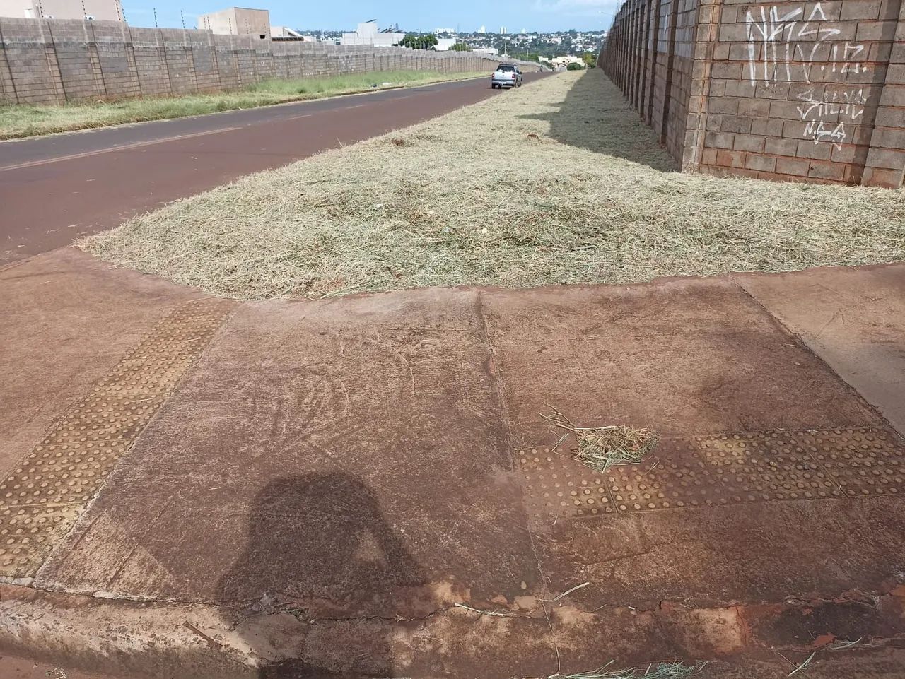 Limpeza de Terreno e Quintal - Foto 3