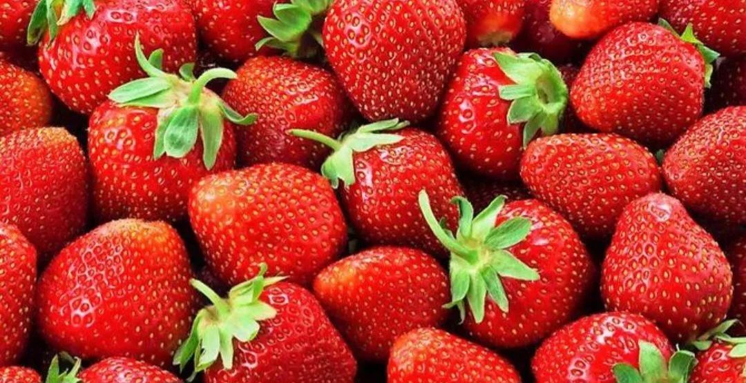 Morango congelado 