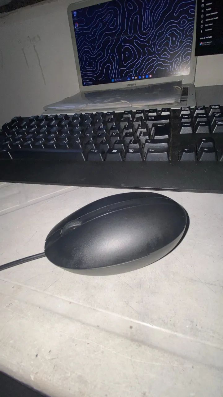Mouse HP