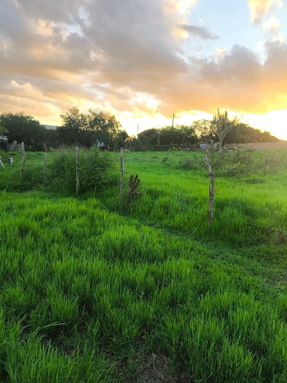 São José  - Foto 2