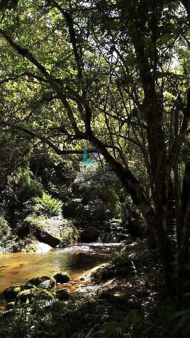SÍTIO FORMADO COM RIO DE ÁGUAS CRISTALINA EM ITAMONTE-MG - Foto 2