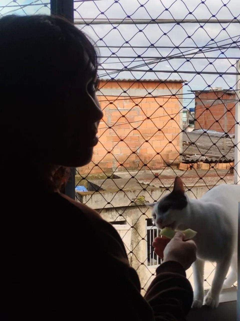 Petsister - Foto 3