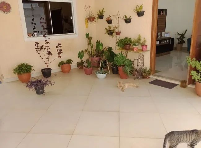 Foto - Vitória da Conquista - Felícia