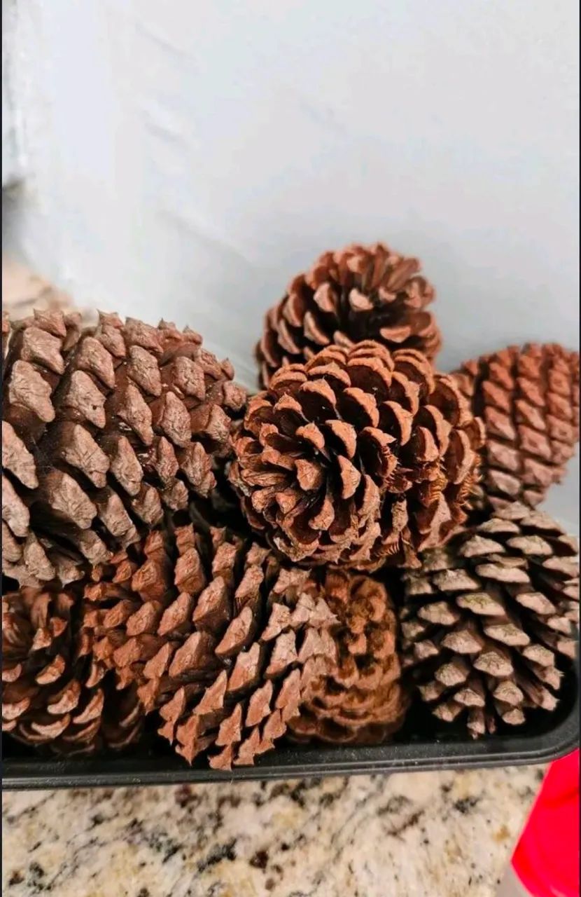 Pinha Natural 
