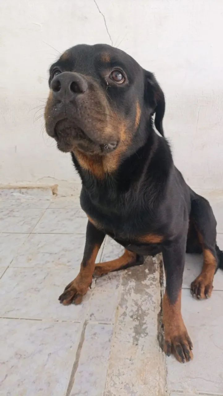 HOTTWAILLER VENDO UM CASAL