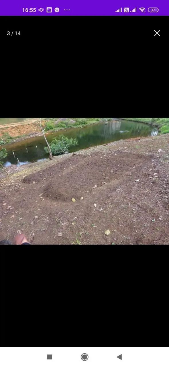 Sítio com pomar/roça de cacau 5 hectares em Itajurú.  - Foto 7