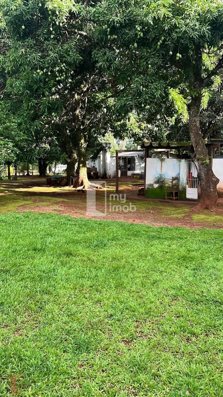 Chácara disponível para venda, Anápolis-GO - Foto 5