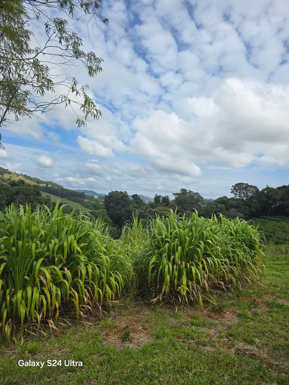 Terreno Baião  - Foto 5