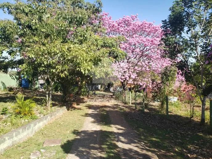 Sítio a venda - Chacaras Ingrid, Taubate - Foto 4