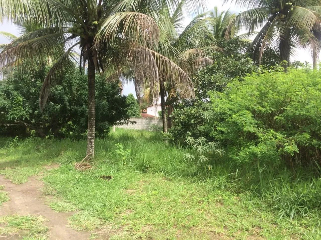 Casa  - Foto 4