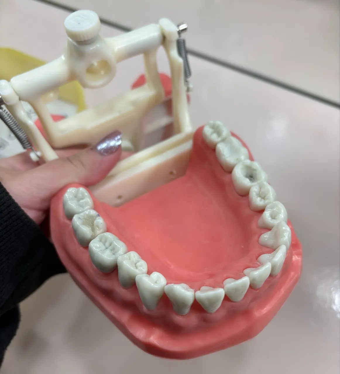     Manequim de Dentística (Pouco Usado) - Foto 4