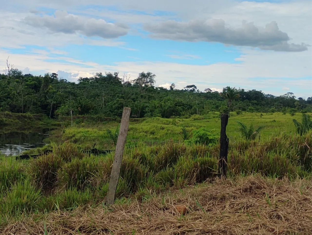 02 lotes um ao lado do outro, muita água é muito pasto. - Foto 2