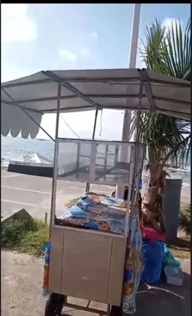 Carinho de lanche  - Foto 2