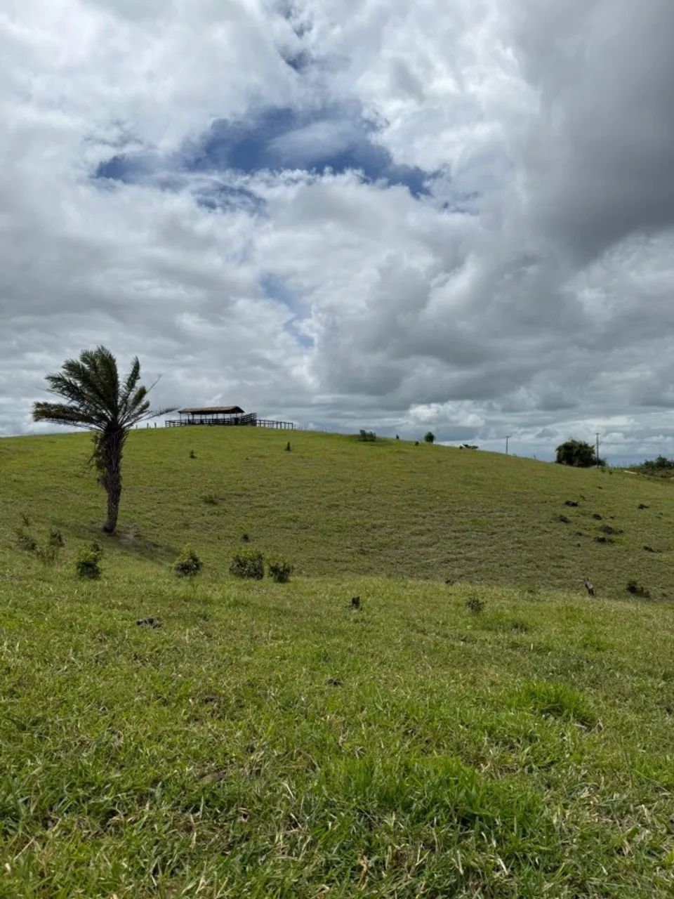 Fazenda para Venda em Atalaia, Zona Rural - Foto 4