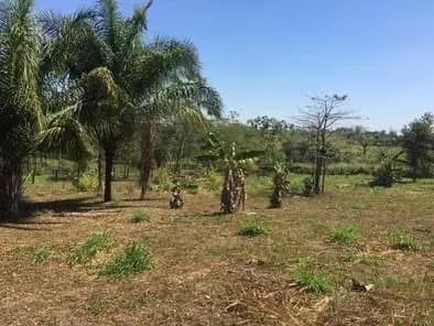 ? VENDE-SE LOTE DE ESQUINA ? - Foto 2