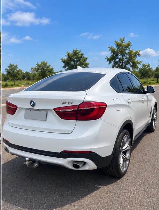 BMW X6 X6 XDRIVE 35i 3.0 306cv Bi-Turbo 2016