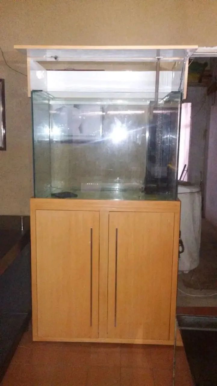 Aquário de todos os tamanhos  - Foto 2
