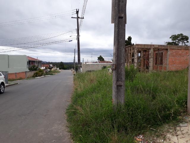 Terreno Colombo- Bairro Sta. Tereza- a vista R$125.000,00- - Foto 13