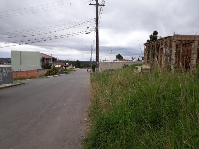 Terreno Colombo- Bairro Sta. Tereza- a vista R$125.000,00- - Foto 7