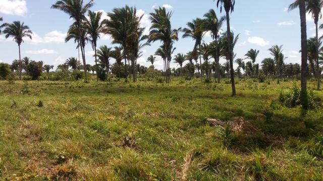 Fazenda na BR 135 - Foto 16