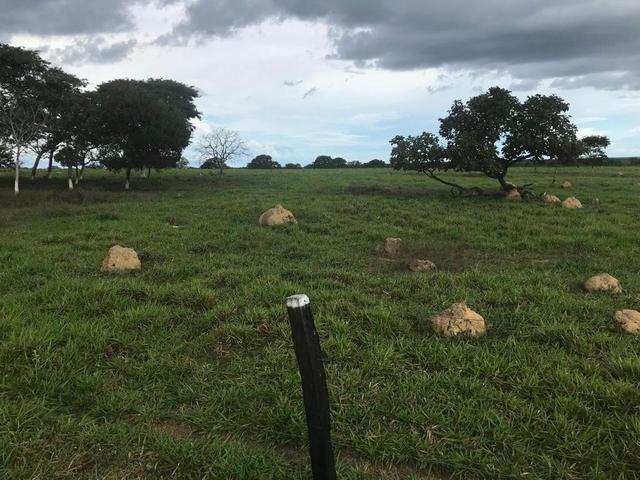 Fazenda 354 hectares, Município de Livramento/MT - Foto 3