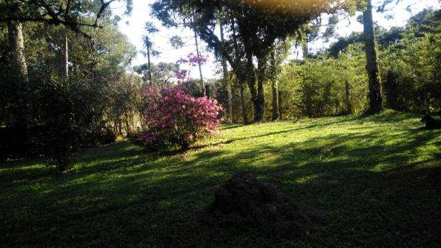 Chácara a venda adiante do Caminho do Vinho - Foto 2