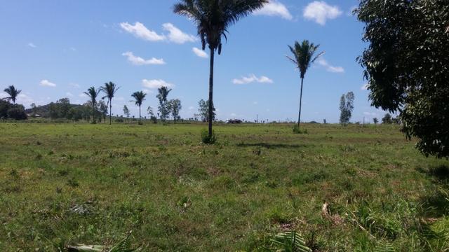 Fazenda na BR 135 - Foto 13
