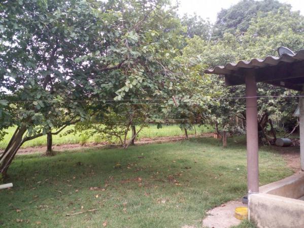 Chácara à venda em Chacaras de recreio alvorada, Aracatuba cod:V3584 - Foto 19