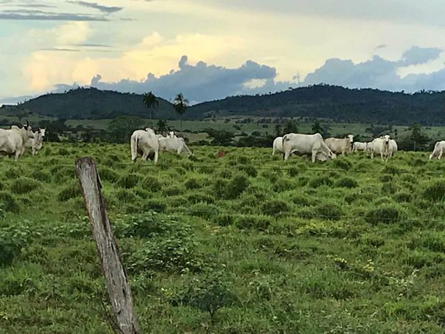 Fazenda em Itamaraju. 5 mil hectares - Foto 4