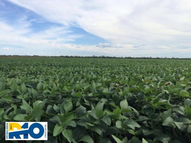 Fazenda Venda no Oeste Baiano Barreiras BA e outras Regiões Soja - Foto 6