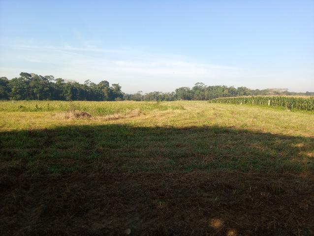 Alugo propriedade rural em pirabeiraba - Foto 3