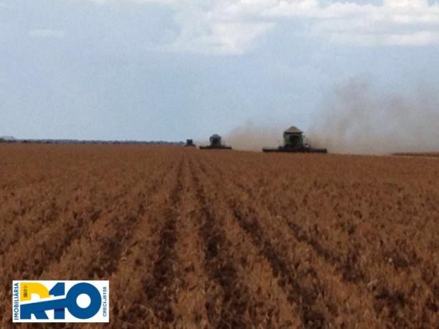 Fazenda Venda no Oeste Baiano Barreiras BA e outras Regiões Soja - Foto 8