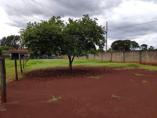 Chácara à venda, 5000 m² por R$ 600.000 - Três Lagoas - Foz do Iguaçu/PR - Foto 3