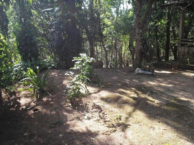 COD-116: Sítio em Bicuiba - Saquarema - Foto 12