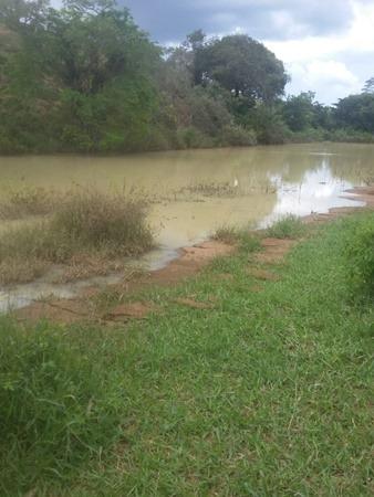 Vendo fazenda de Pecuária com 1.720 hectáres - Foto 6