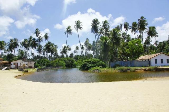 Vendo Área na beira mar da Praia de Pititinga - Foto 10