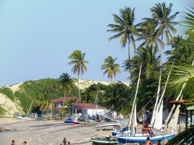 Vendo Área na beira mar da Praia de Pititinga - Foto 15