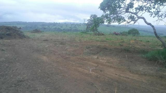 Vendo fazenda de Pecuária com 1.720 hectáres - Foto 17