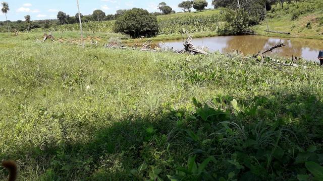 Chácara no município de Cariri do Tocantins - Foto 7