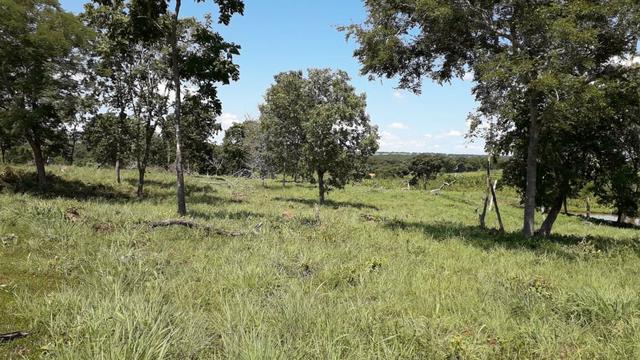 Chácara no município de Cariri do Tocantins - Foto 2