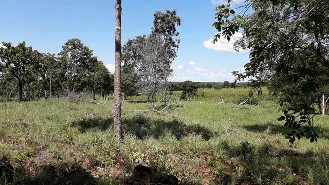 Chácara no município de Cariri do Tocantins - Foto 8