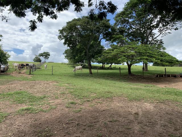 Fazenda 20 alqueires em Piracanjuba - Foto 16
