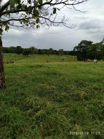 Chácara no município de Cariri do Tocantins - Foto 6