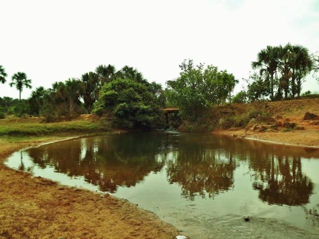 Fazenda de 67 alqueires para lavoura a venda na região de Paraúna GO - Foto 10