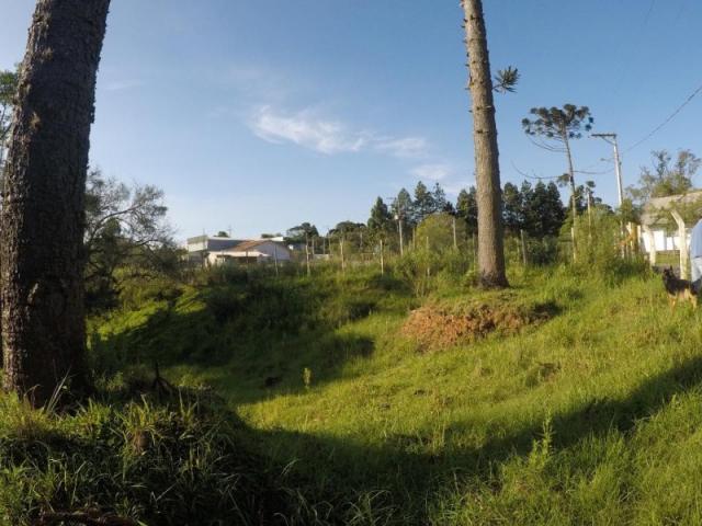 Chácara nà venda - barro preto - são josé dos pinhais/pr - Foto 7